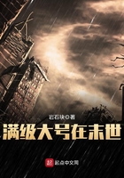 满级大号在末世封面