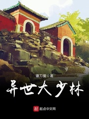 异世大少林封面