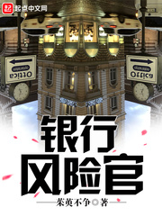 银行风险官封面