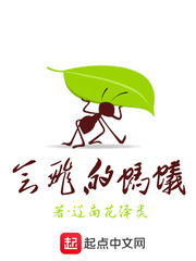 会飞的蚂蚁封面