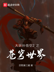 大妖孙悟空2之苍穹世界封面