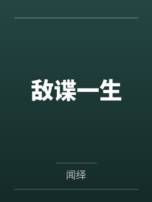 敌谍一生封面