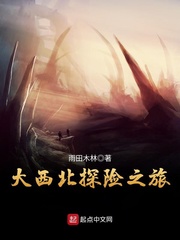 大西北旅行封面