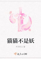 猫猫不是妖封面