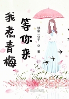 我煮青梅等你来封面
