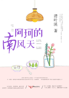 南风天歌词封面