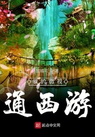 我的微视通西游封面