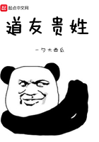 道友贵姓封面