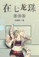 在七龙珠里闯荡封面