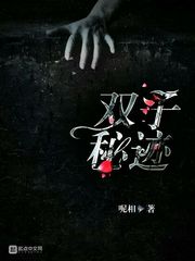 双子Gemini攻略第三关封面