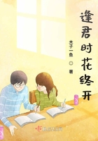 逢君时花终开封面
