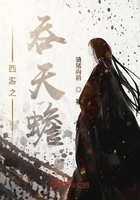 西游之吞天蟾封面
