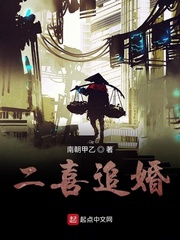 二喜全部小说封面
