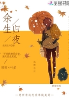 余生归夜封面
