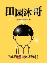 田园沐哥集团是国企吗封面