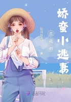 总裁的娇蛮小逃妻封面