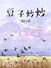 豆子炒炒封面