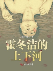 霍冬洁的上下河封面