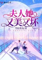 夫人她又美又坏封面