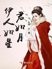 伊人如星君如月封面