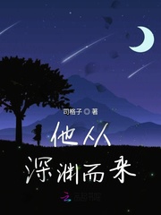 他从深渊而来封面