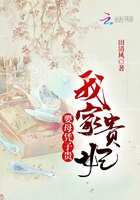 我家贵妃要母凭子贵封面