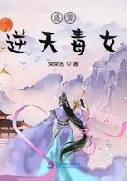 盛宠之毒后归来封面