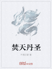 焚天炼封面