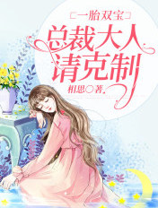 一胎双宝：总裁大人请克制封面