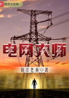 电网大师封面