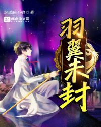 羽翼未封封面