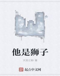 他是狮子封面
