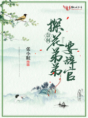 奈何探花弟弟要辞官封面