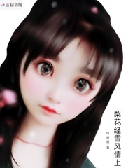 梨花经雪风情上封面