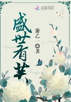 盛世有芙封面