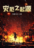 灾厄之起源封面