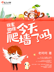 我家助理今天爬墙了吗封面