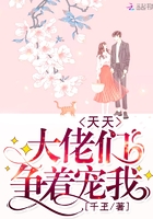 大佬们天天争着宠我封面