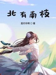 北有南枝封面