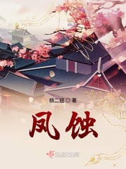 凤蚀封面