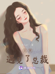总算遇见了总裁的小说封面