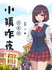 小镇昨夜又东风封面