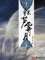 秋芦霁月封面