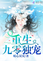 重生九零独宠封面