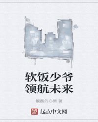 软饭少爷领航未来封面