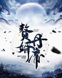 赘婿丹帝封面
