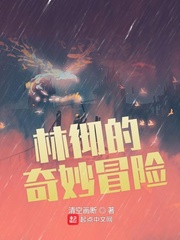 林彻的奇妙冒险封面