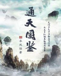 通天图鉴封面