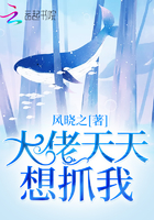 大佬天天想抓我封面