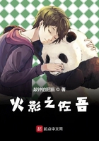 木叶之大蛇丸传人封面